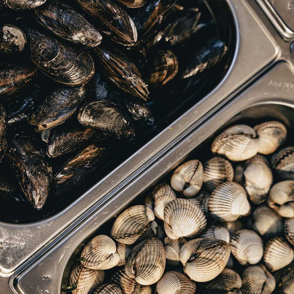 Polpo Cesar Lewandoski Seafood moules coquillages