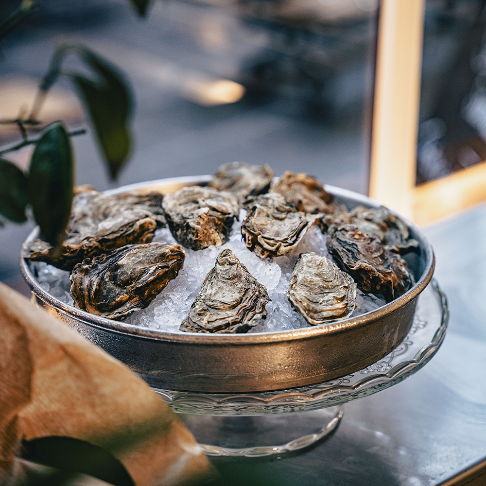Polpo Cesar Lewandoski Seafood oysters